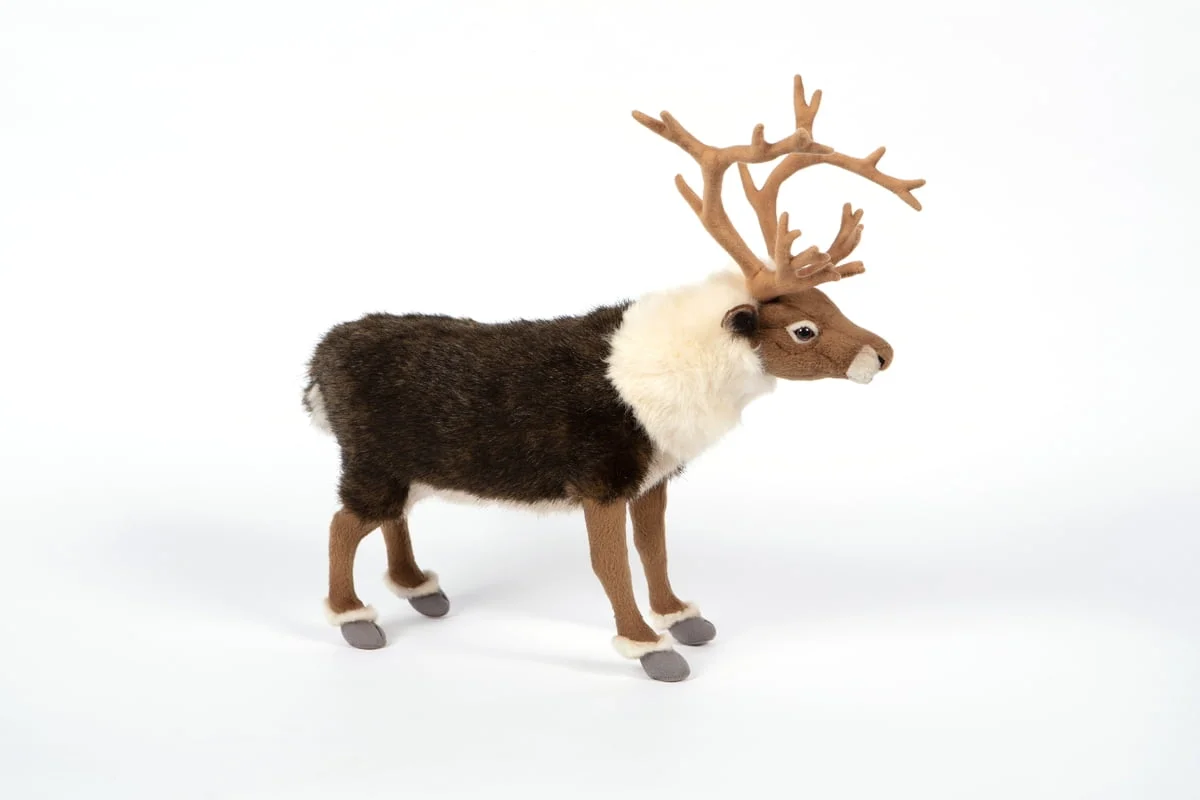 Inga and the Reindeer: A Story from Lapland: Bodil Hagbrink