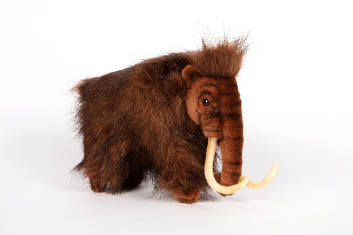 Mammoth medium outlet