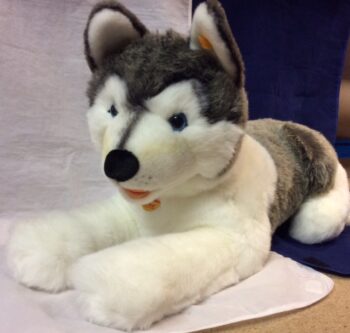 Steiff 104961 Bernie Husky Large White and Grey Plush Sled Dog product image